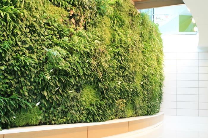 vnútorná zelená stena vegetačná priečka, vertikálna záhrada, špirálovitá chodba so zelenou stenou, obkladačky v bielych doskách