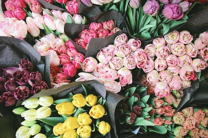 Kytica tulipánov obrázok šťastný deň matiek, šťastný deň matiek, pohľadnica ku dňu matiek, krásne kvety