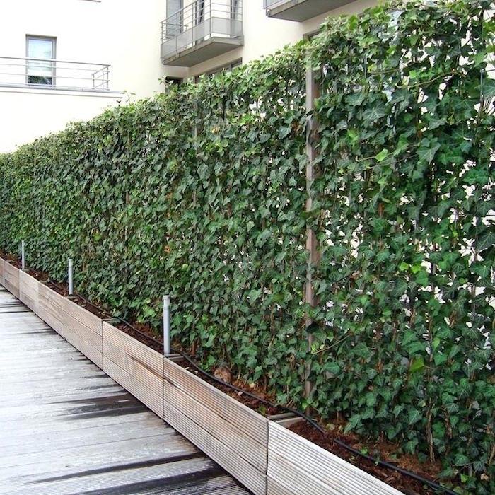 idé om grön vägg i träplanter för separation och brisvy mellan lägenheterna