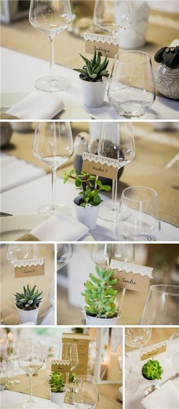 originál-nápad-deco-svadobný stôl-so-zelenými-rastlinami-svadobnými-dekoráciami-so-zelenými-rastlinami-v-kvetináči