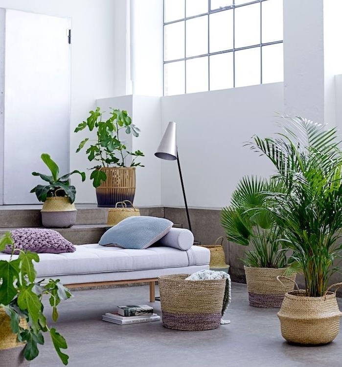 drevená rozkladacia pohovka so svetlo sivým matracom a dekoratívnymi vankúšmi obklopená exotickými rastlinami v kvetináčoch, palmami a tkaným kvetináčom