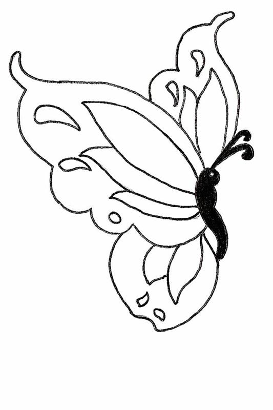 فراشة في رسم حيوان حشرة طيران ، أجمل حيوان في العالم الفراشة