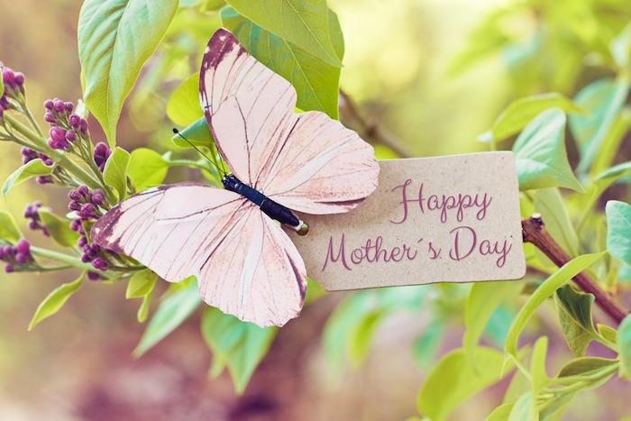 Fjäril som säger grattis på födelsedagen, blommande gren, vårbild, skicka ett meddelande till mamma, lycklig mors dag, bild på mors dag