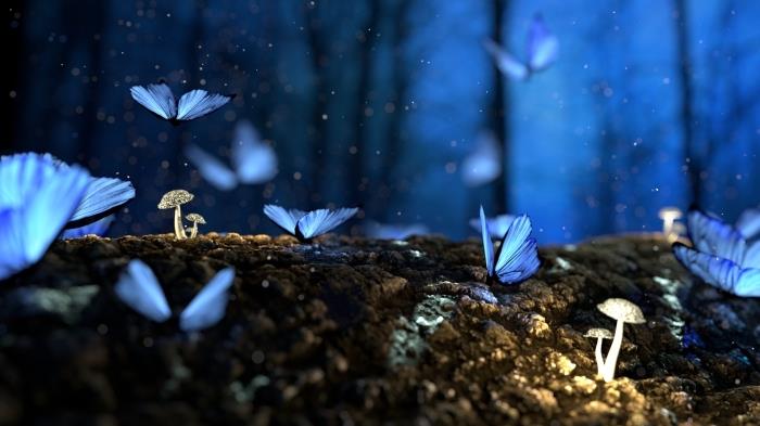 najkrajšia tapeta, digitálny obrázok s lietajúcimi motýľmi modrej farby, ktoré v noci osvetľujú les