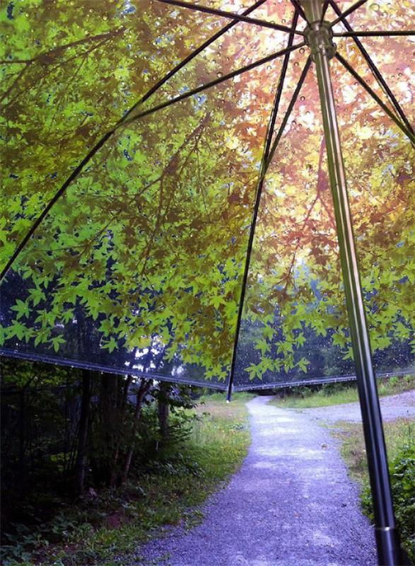 transparentný dáždnik so zelenými listami