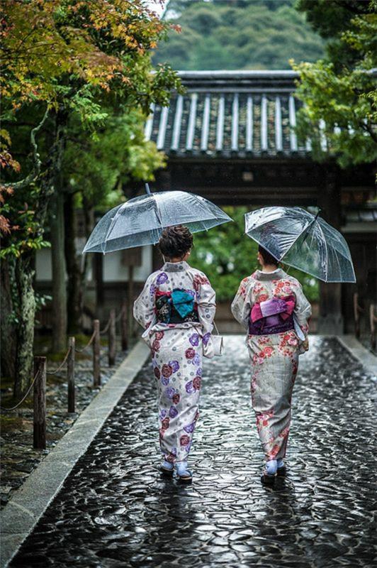 priehľadný dáždnik a dve dámy v kimonách