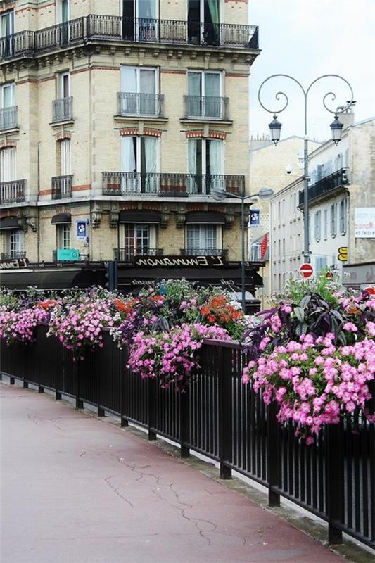 paris-frankrike-rue-fleurs-violett