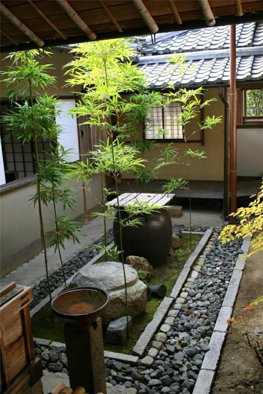 حديقة-فناء يابانية-أصلية