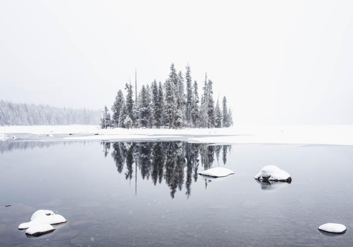 krásna tapeta s fotografiou zasneženej prírody, malého lesa pri jazere s hmlou a snehom