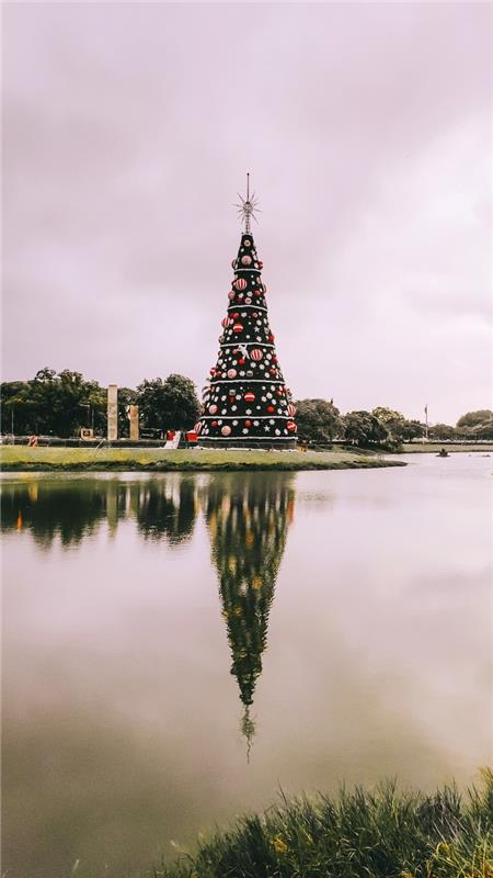 obrázok ozdobeného vianočného stromčeka a jeho odrazu vo vode jazera, nápad na vianočnú tapetu pre iphone s prírodnou krajinou