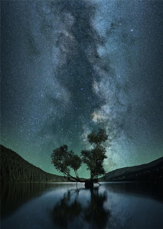 خلفية ليلية للمناظر الطبيعية مع قمم الجبال وانعكاسات الصور الظلية للأشجار في بحيرة تحت السماء المرصعة بالنجوم