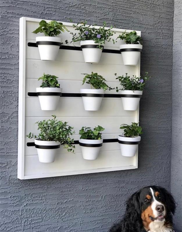 väggförvaringsidé för växter och örter att göra själv, exempel på väggkruka blomsterpottstil
