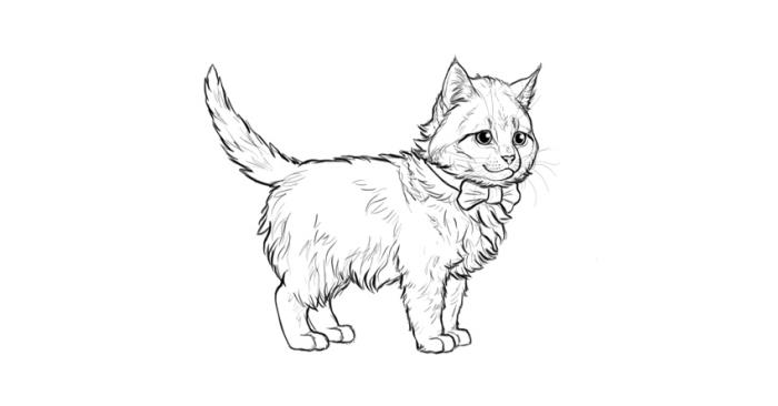 idé att göra en teckning av en söt liten katt med fjäril, exempel på en katt som enkelt tecknar med blyerts