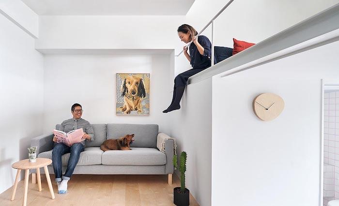 Japansk arkitektur, ryddig studioinredning med hög säng, kala väggar med ett enda porträtt av en hund, grå soffa och litet runt lågt bord