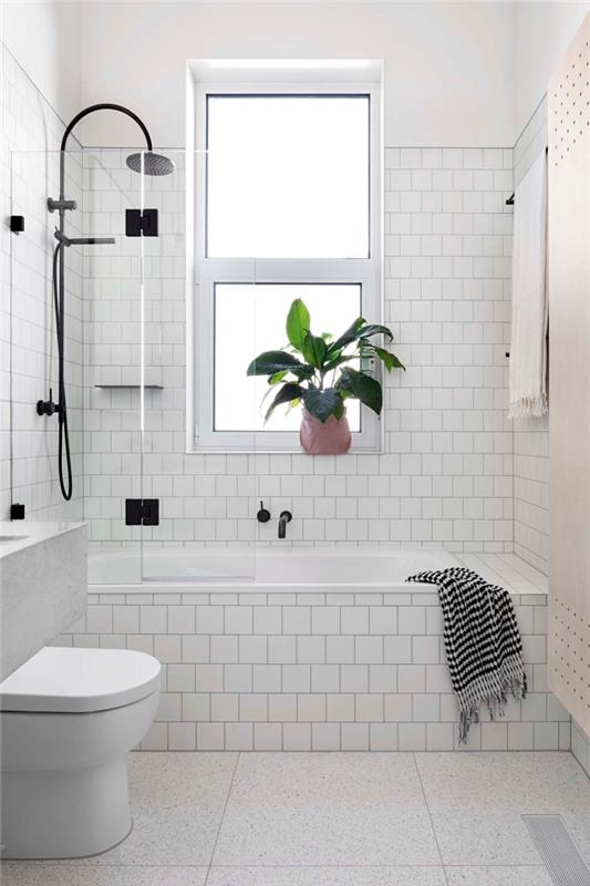 hur man ordnar ett litet badrum med duschkar, vilka färger för ett litet utrymme, vit rumsmodell med en matt svart finish