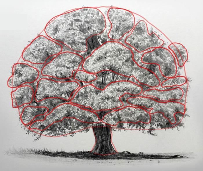 أساسيات رسم شجرة الرسم بالقلم الرصاص مع تاج شجرة الجذور كيفية الرسم