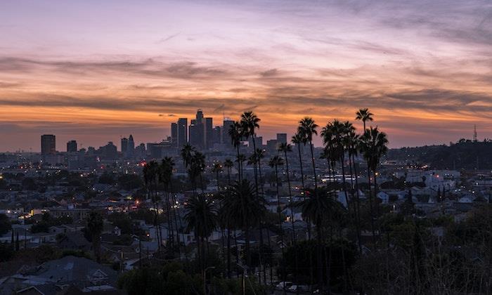 Staden LA i solnedgången, höga palmer, vackra färger, skyskrapor, amerikansk stad