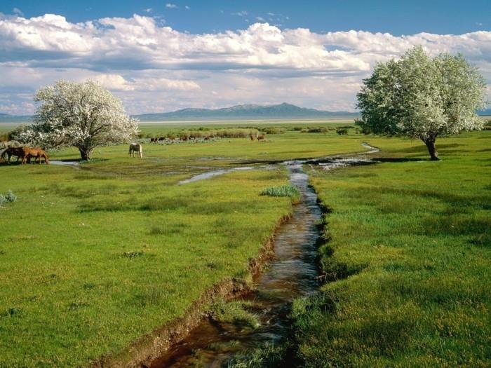 foto-natur-irländsk-turism-skönhet-foto-besök