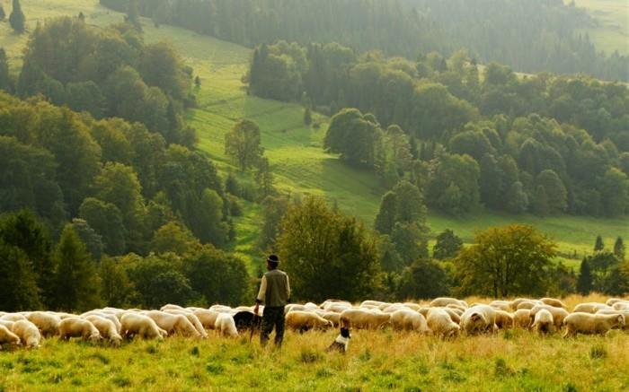 foto-natur-irländsk-turism-foto-besök-by-liv