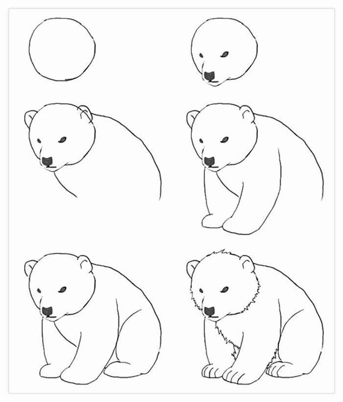 čiernobiely náčrt, kresba obrázkov, ako nakresliť medveďa, krok za krokom, návod na kutilstvo