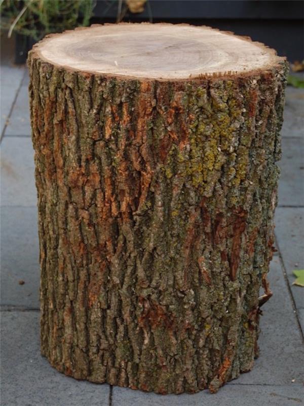 برنامج تعليمي لصنع خزانة أو طاولة من جذع شجرة خام طبيعي مع اللحاء