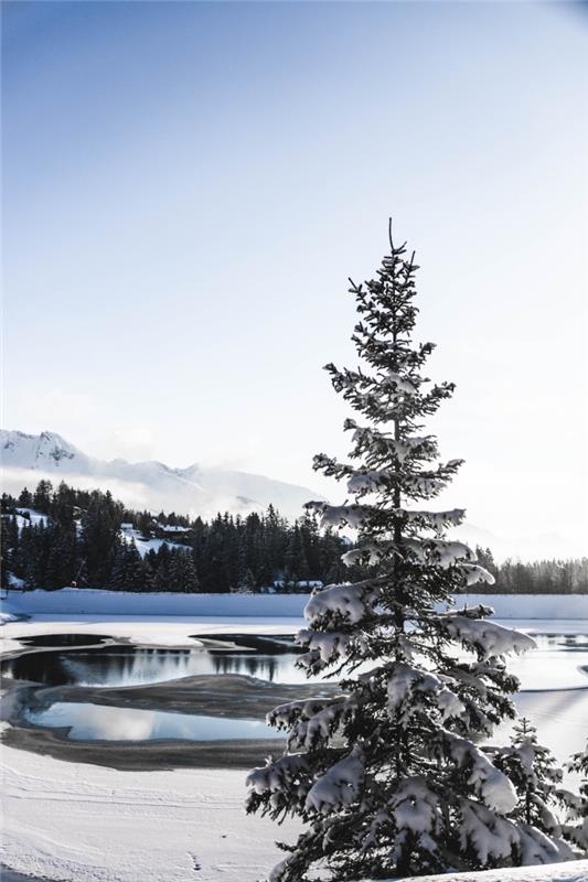 hur man tar vackra bilder av naturen på vintern, exempelvis solljus för att ta vackert foto