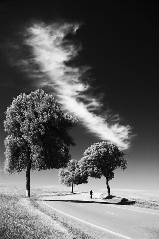 ett vackert svartvitt foto som visar en avlägsen silhuett av en man på en ökenväg