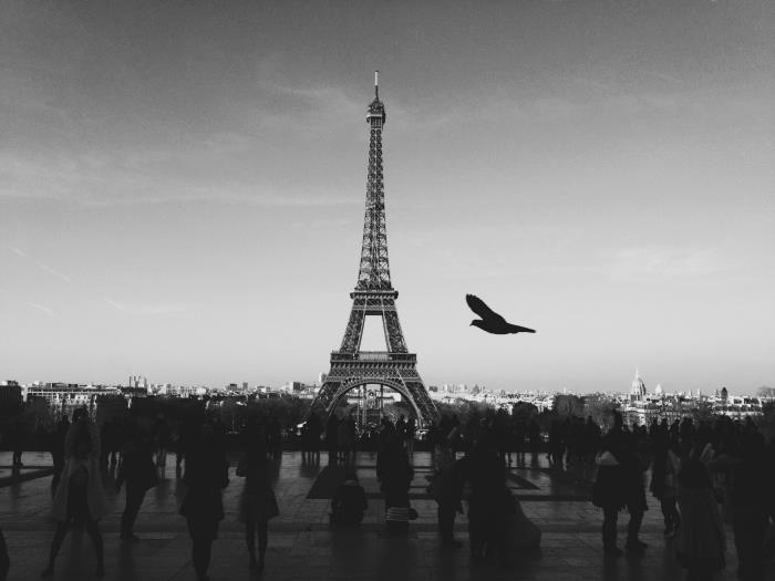 ett nostalgiskt fotografi av paris svartvitt place du trocadéro med en mängd turister