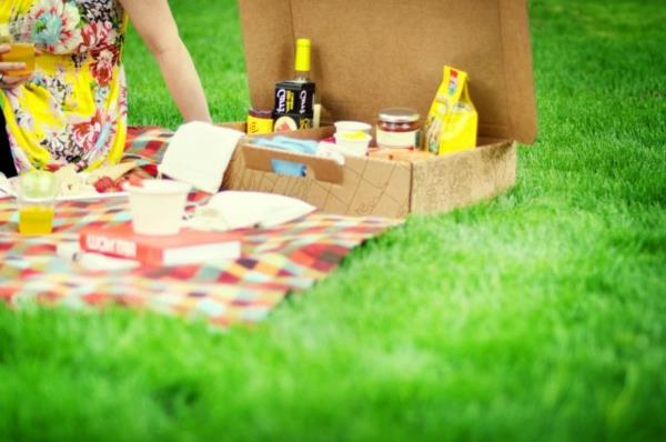 picknick-billigt-kit