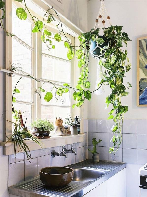 závesná rastlina nad umývadlo, biela kachľová tradičná kuchyňa, biele steny, originálna výzdoba vidieckej kuchyne