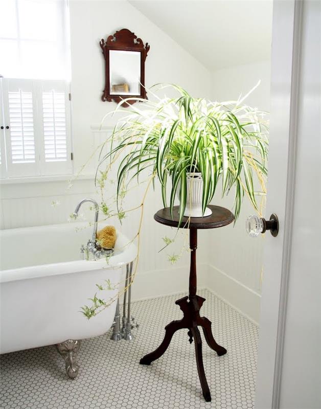 biela výzdoba steny do kúpelne, biela vaňa na bielej dlažbe, zelená rastlina na okrúhlom drevenom stole