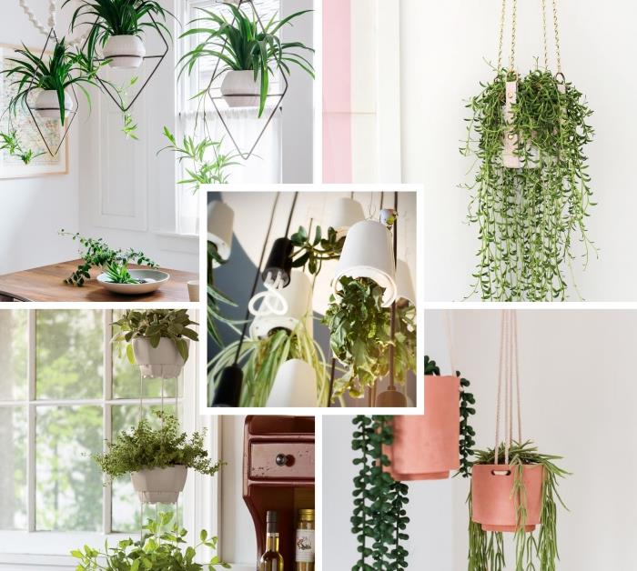 hur du dekorerar din interiör med en hängande saftig växt, matsalsinredning med metallupphängningar och gröna växter