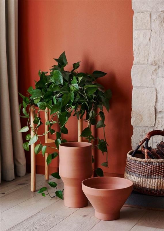 zelená popínavá rastlina drevený nábytok trendový interiérový dizajn maľba terakotová stena pletené oslí deko nápad boho elegantný štýl chodba svetlo sivé záclony