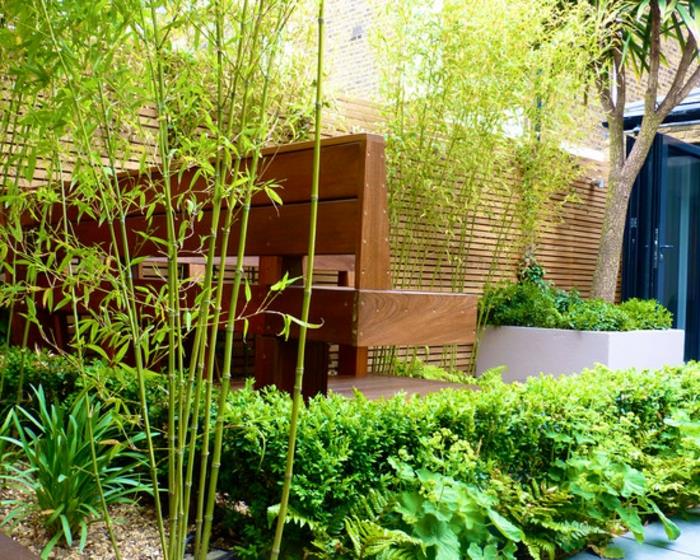 plant-bamboo-landcaped-garden-plant-الخيزران