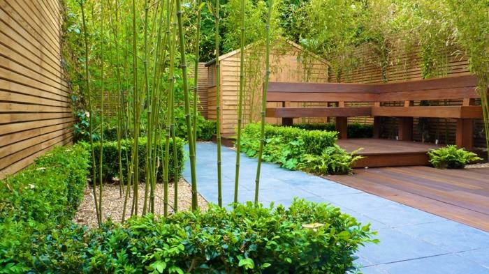 plant-bamboo-plant-bamboo-create-your-zen-garden