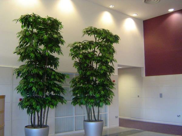 نباتات صناعية - أشجار اصطناعية