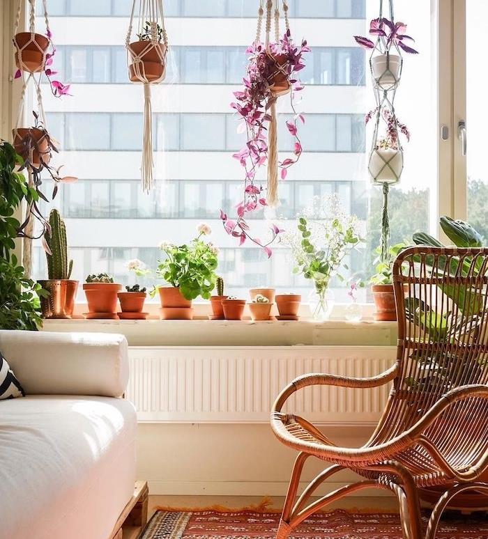 šťavnatá izbová rastlina a črepníkový kaktus, hrnce macrame visiace z vysokej, stolička na palice, biela pohovka