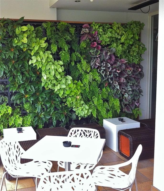 priečka na rastliny, veľký panel z červených a zelených rastlín, lesklé listy, záhradný nábytok so štyrmi prelamovanými bielymi plastovými stoličkami, štvorcový biely stôl