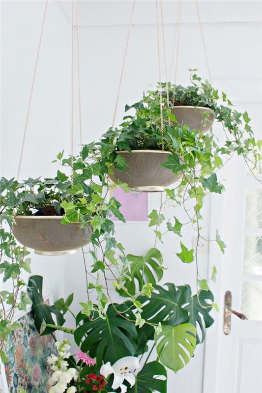enkel hall deco -idé med hängande växt-, betong- och metallkruka modeller med gyllene kedja för upphängning