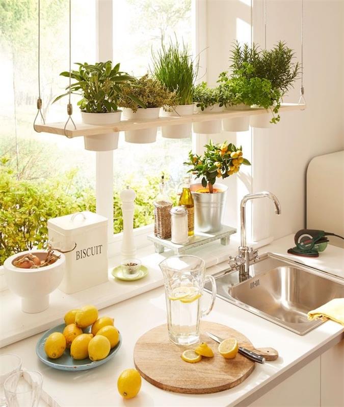 originálna kuchynská dekorácia s trpasličím citrónovníkom a črepníkovými bylinkami zavesená na drevenej doske, elegantná biela kuchyňa