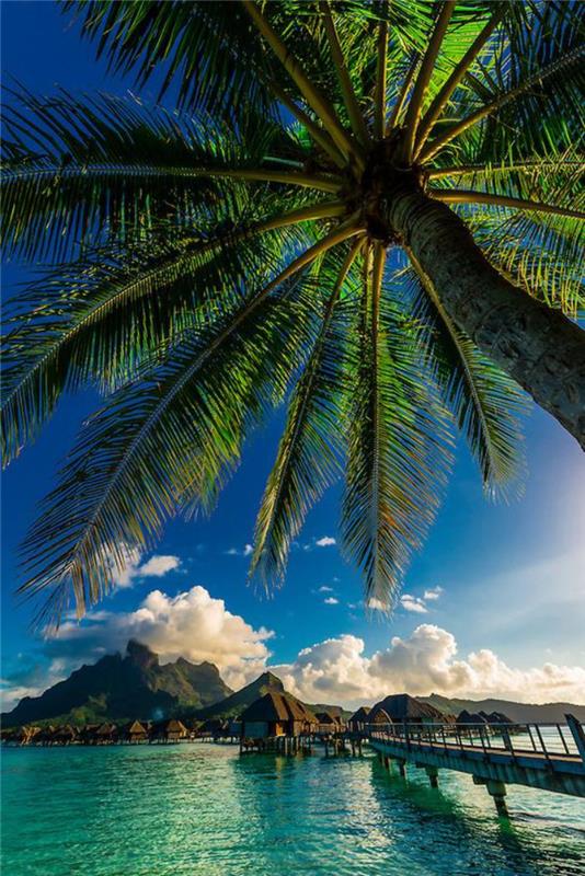 Franska-Polynesien-resor-paradisiska-bilder-av-Polynesien