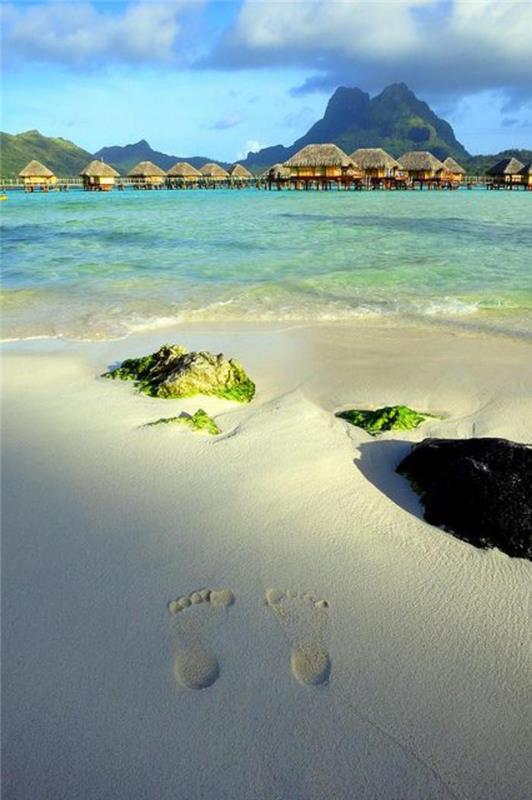 fransk-polynesien-strandresa-solitärer-och-sol