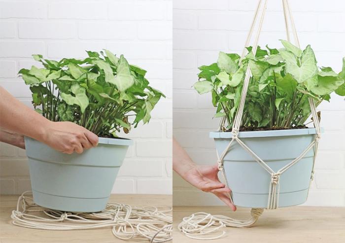 exempel på en hängande växt in i en DIY -upphängning i bomullsrep, ett enkelt dekorativt föremål att göra själv