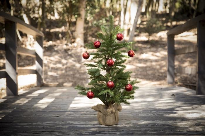 God julbild med ett naturligt landskap i en skog och en mini -julgran dekorerad med röda prydnader