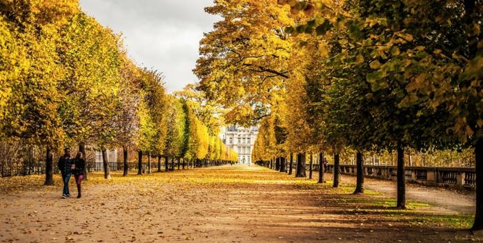 procházky-v-paríži-na-prechádzku-hlavné mesto francúzska-promenáda-jeseň