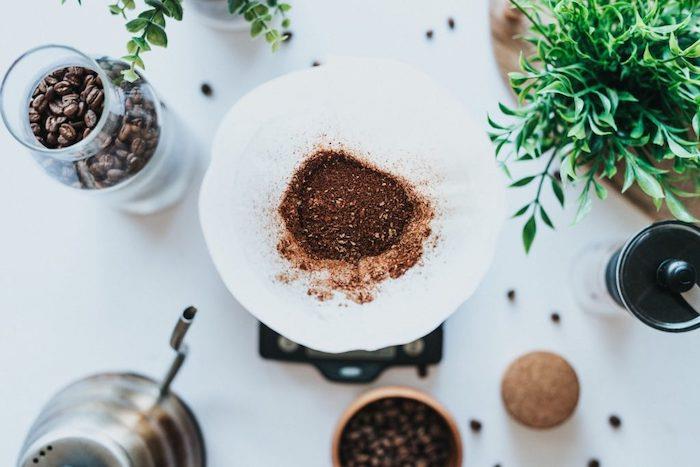 som planterar som kaffegryn en vit disk med gröna växter och blomvas full av kaffefrön