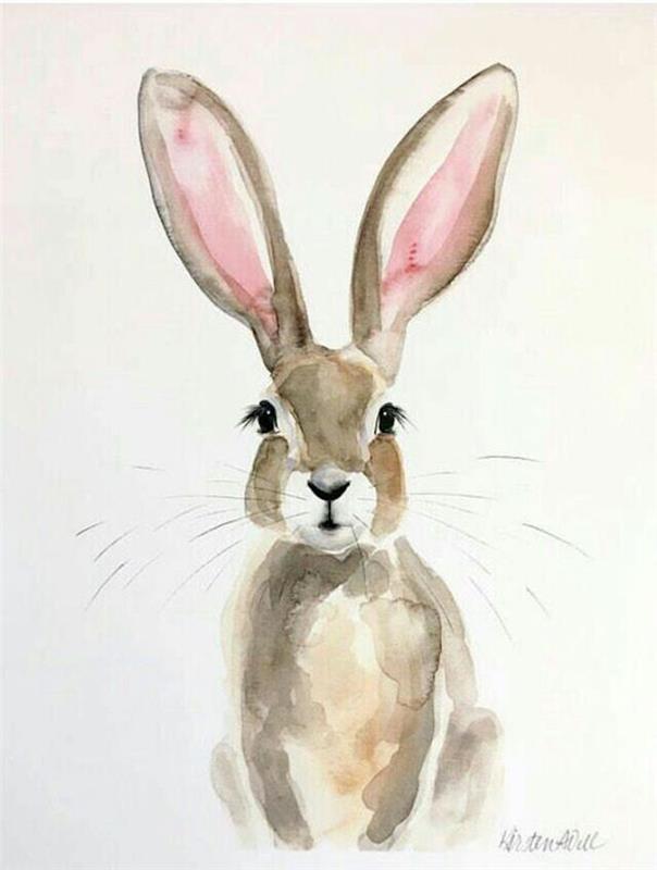 roztomilý králik, veľké ružové uši, obrázky kresieb, biele pozadie
