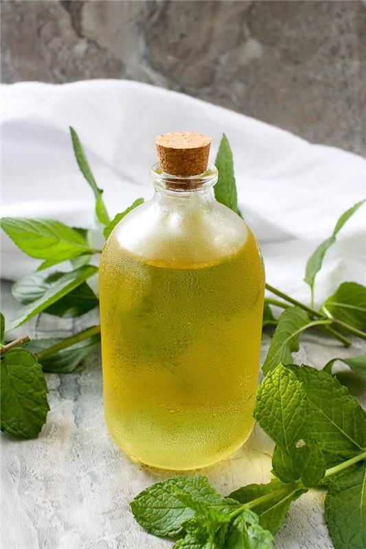 recept na domáci mätový sirup s čerstvými listami a cukrom v sklenenej fľaši