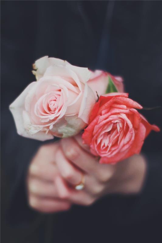 Ruže v rukách, kytica pre matku, pošlite správu mame, fotografia ku dňu matiek, krása sveta