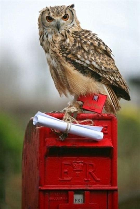 red-letter-box-style-of-London